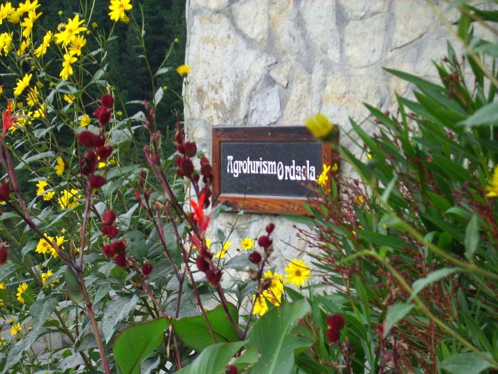 Agroturismo Ordaola Alonsotegi Exteriör bild